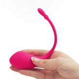 Lovense LUSH 1 Wireless Smart Vibrator