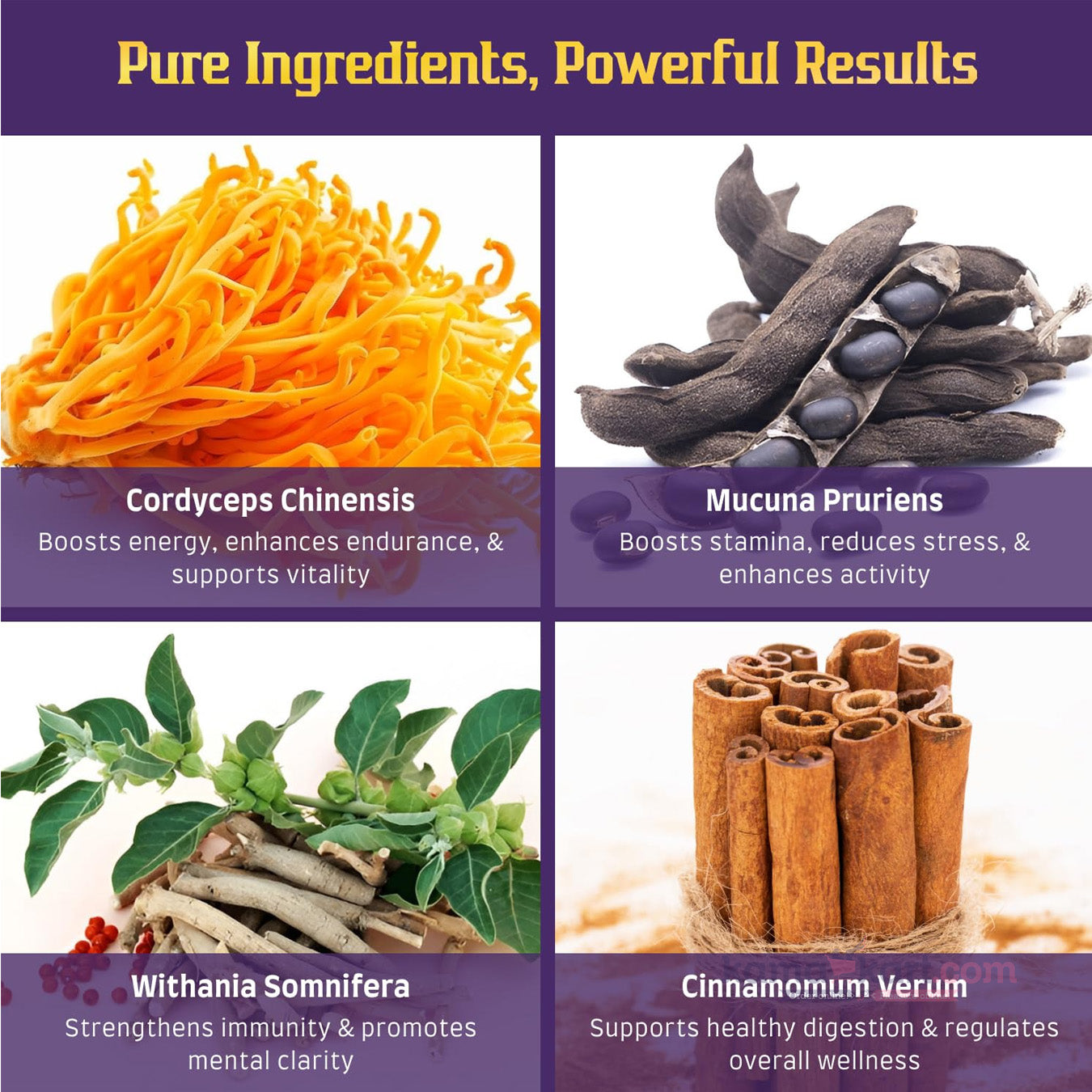 Cordy Gold Maxxx Performer Improving the Strength, Stamina and Power Functioning of Cells in the Body 100% Natural Herbal Supplement, 4 Capsules